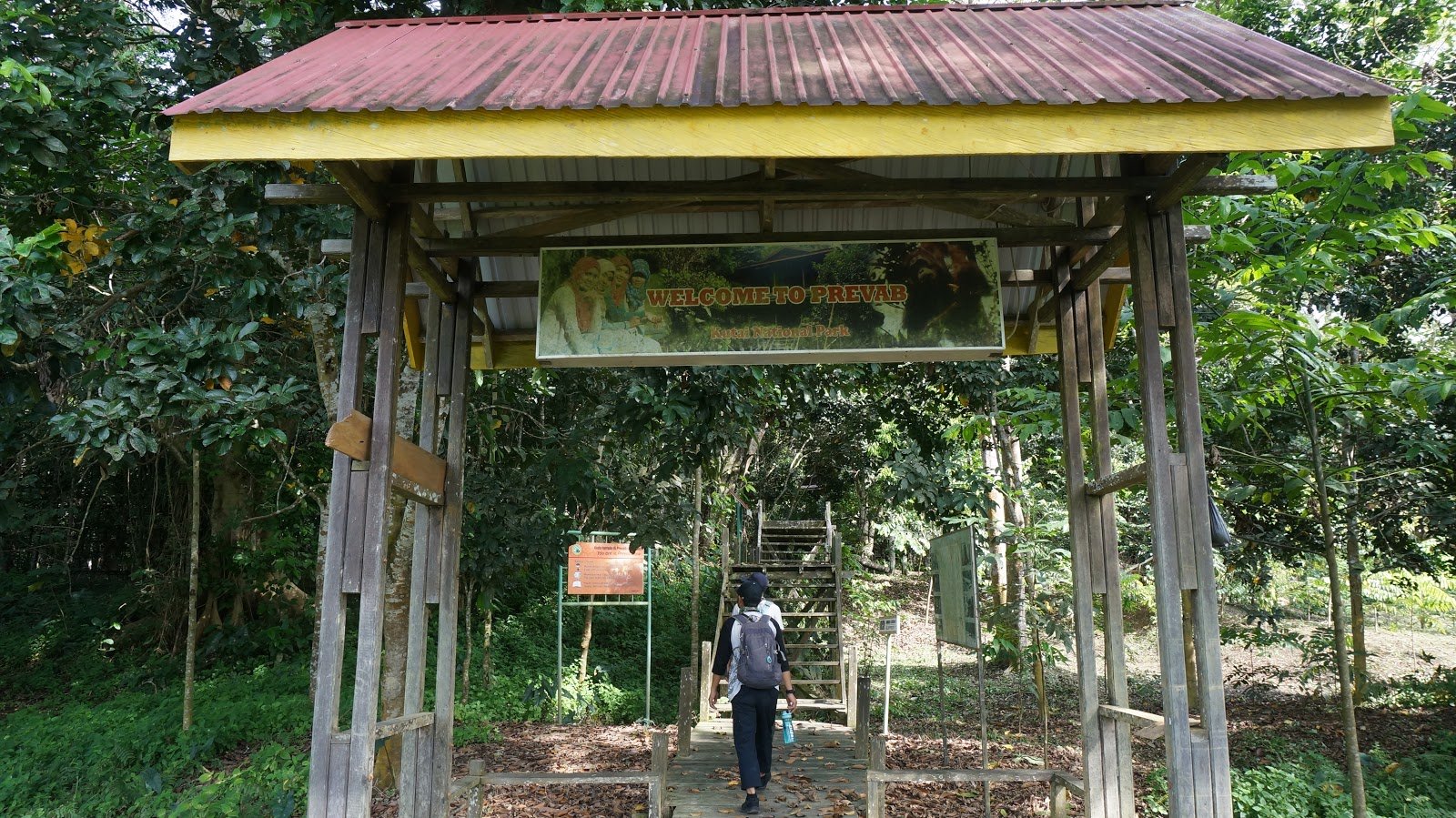 Pengamatan Orangutan di Prevarb