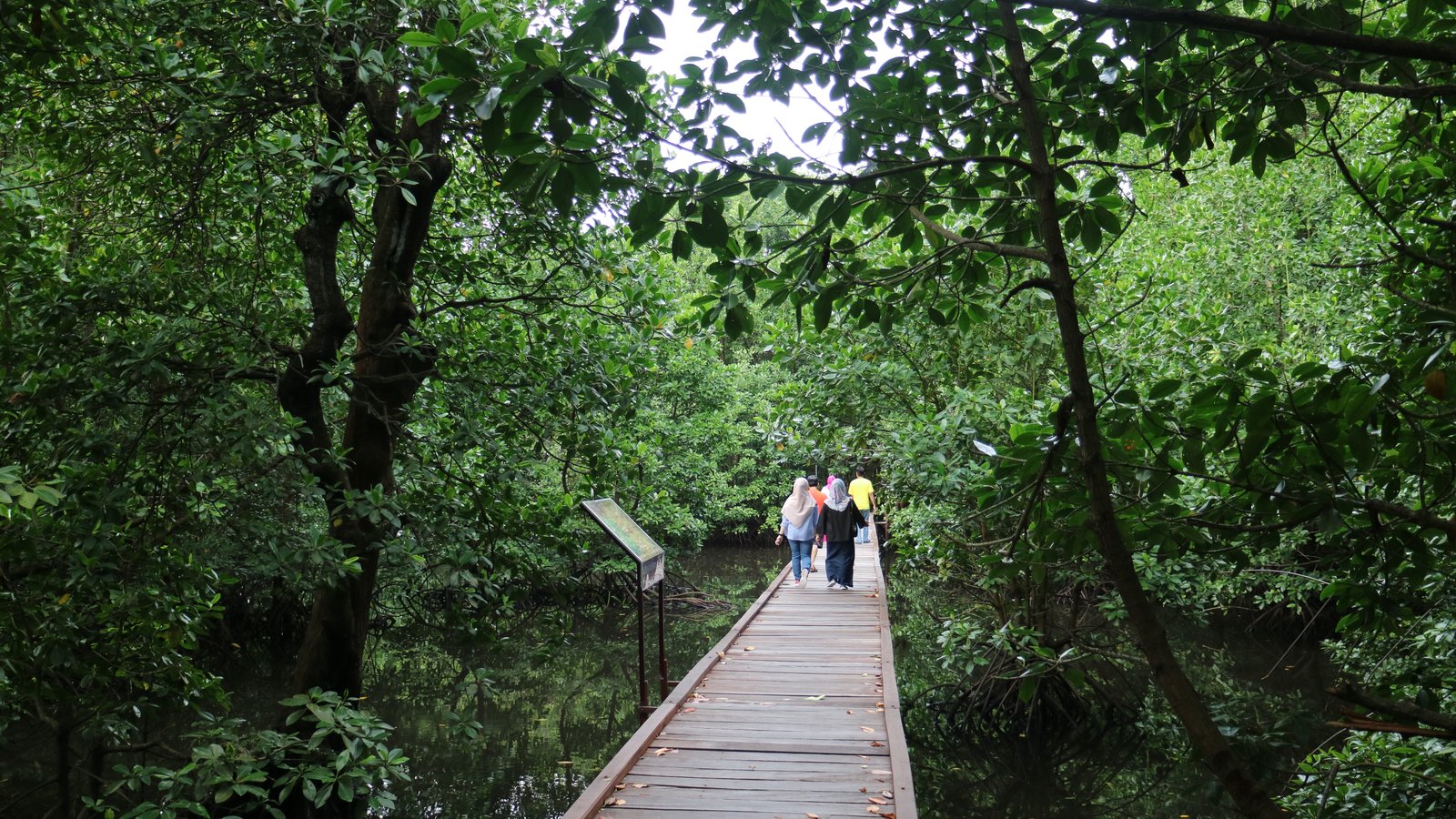 Bontang Mangrove Park