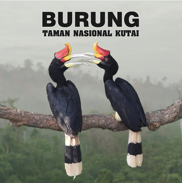 Burung Taman Nasional Kutai