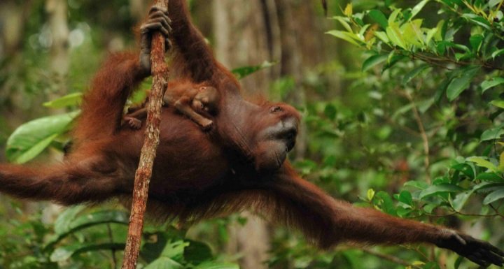 Penutupan tempat wisata Prevab